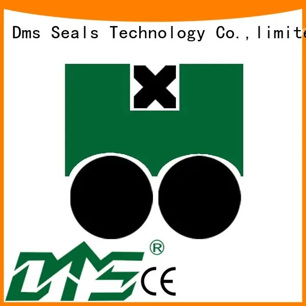 Quality DMS Seal Manufacturer Brand hydraulic oring piston seals 1