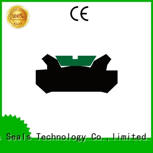 DMS Seal Manufacturer Brand nbrfkm ptfe custom pneumatic piston seals 1