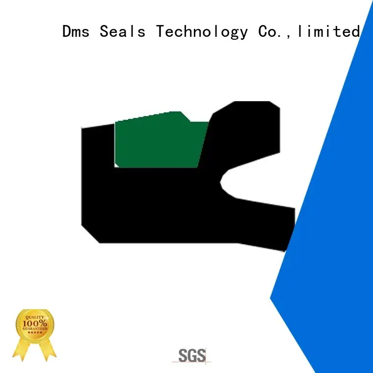 Wholesale oring ptfe piston seals DMS Seal Manufacturer Brand 1
