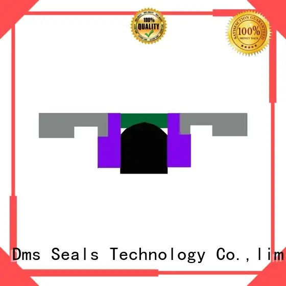 DMS Seal Manufacturer Brand seal piston oring pneumatic piston seals nbrfkm 1