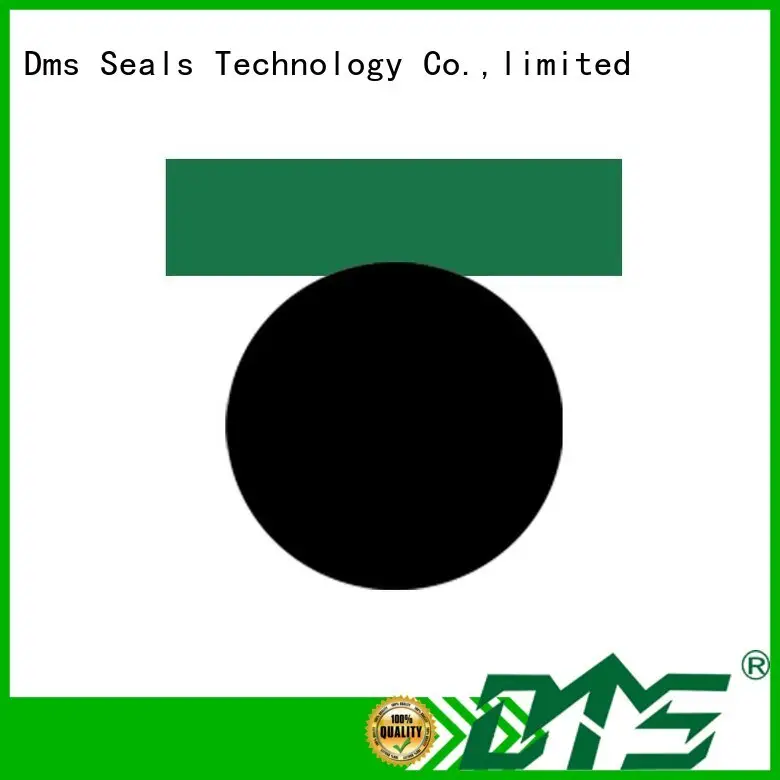 Quality DMS Seal Manufacturer Brand pneumatic piston seals oring seal 1