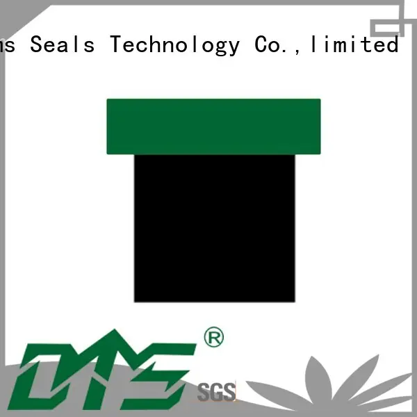 DMS Seal Manufacturer Brand seal hydraulic piston seals manufacture 1