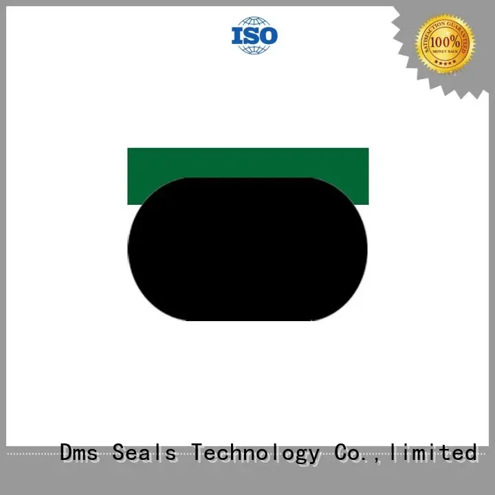 DMS Seal Manufacturer Brand ptfe hydraulic custom pneumatic piston seals 1