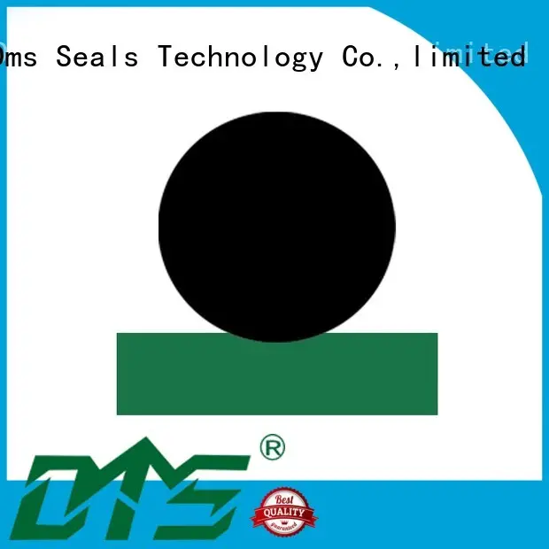 DMS Seal Manufacturer Brand oring ptfe seal rod rod seals 1