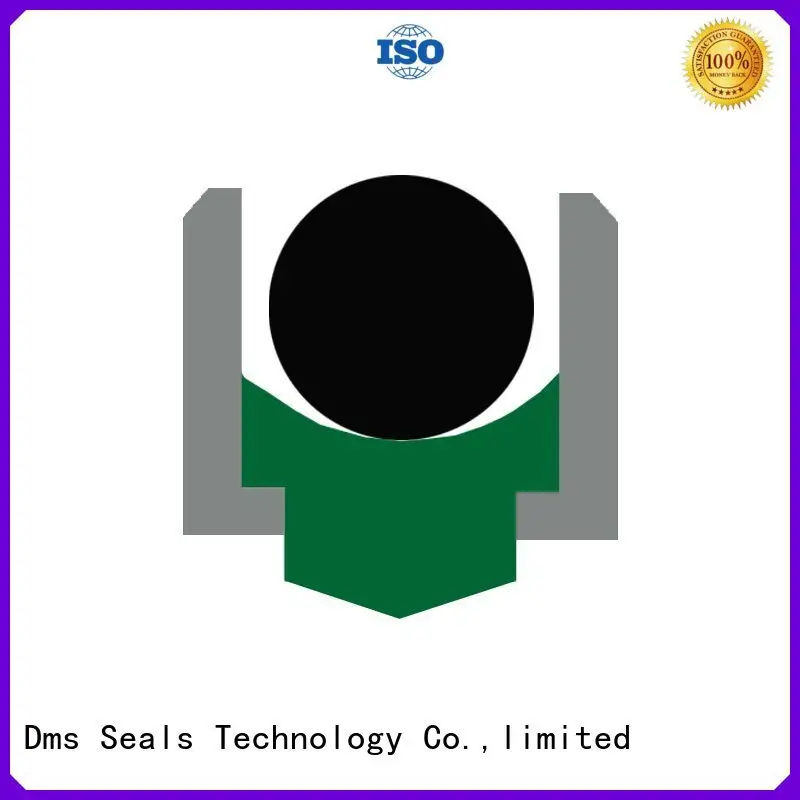 seal hydraulic rotary shaft seals DMS Seal Manufacturer Brand 1