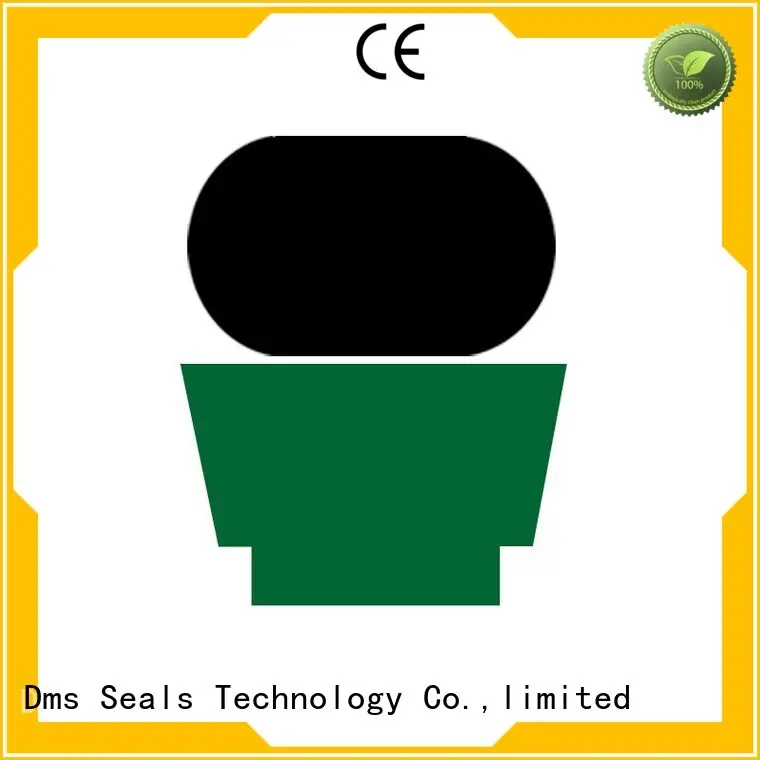 DMS Seal Manufacturer Brand seal oring ptfe hydraulic rod seals hydraulic 1