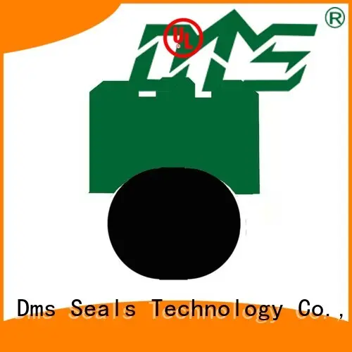DMS Seal Manufacturer Brand rotary rotary shaft seals ptfe supplier 1