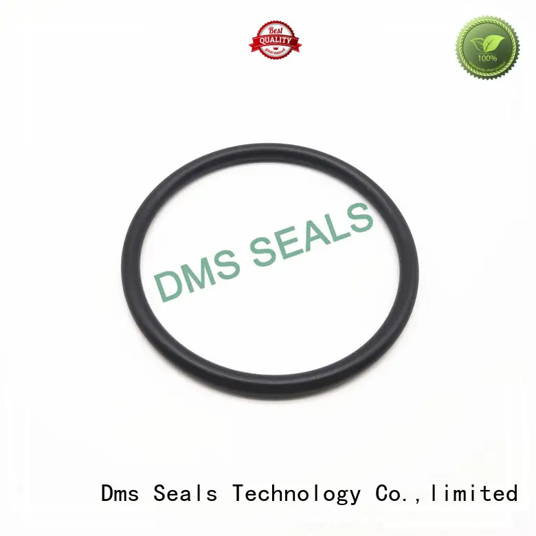 DMS Seal Manufacturer Brand ptfe oring spring custom oil seal ring 1