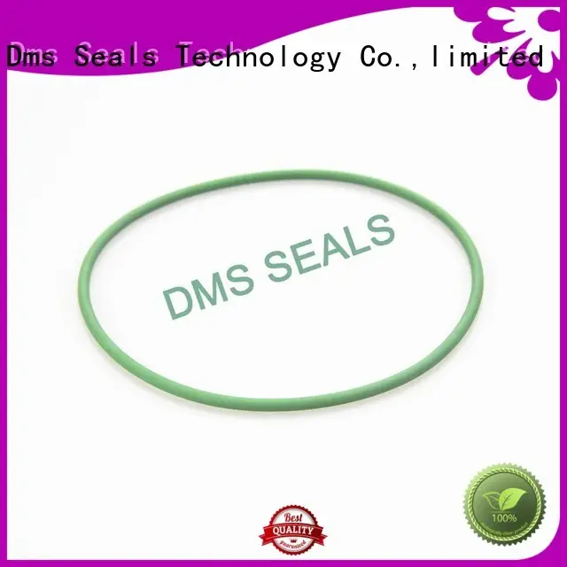 Hot ptfe oil seal ring oring DMS Seal Manufacturer Brand 1
