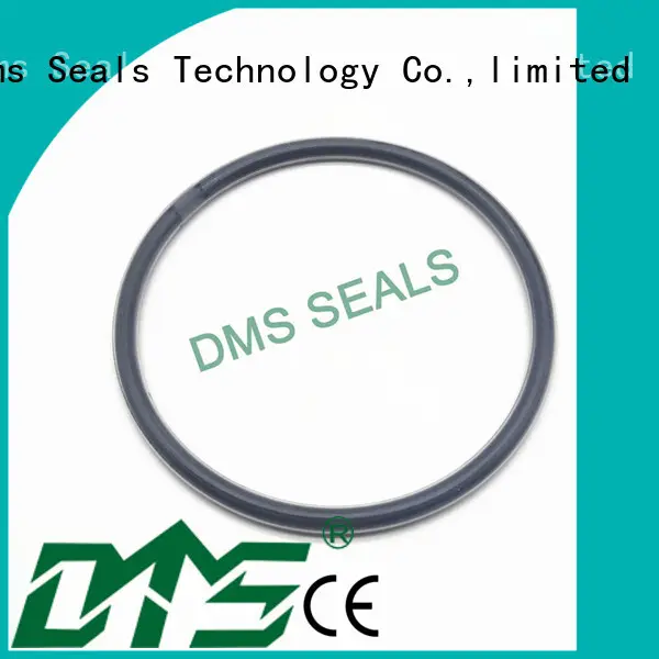 oil seal ring oring seal spring Warranty DMS Seal Manufacturer 1