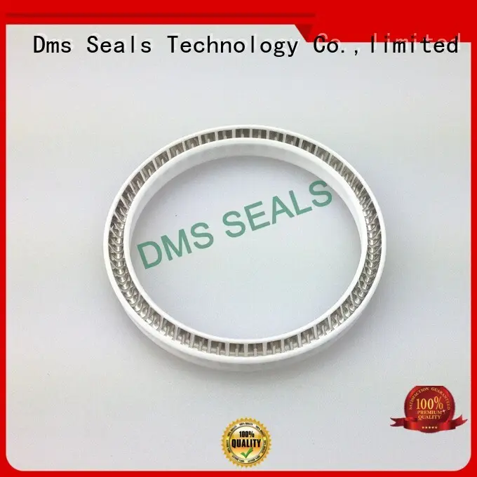 Hot spring energized seals spring DMS Seal Manufacturer Brand 1