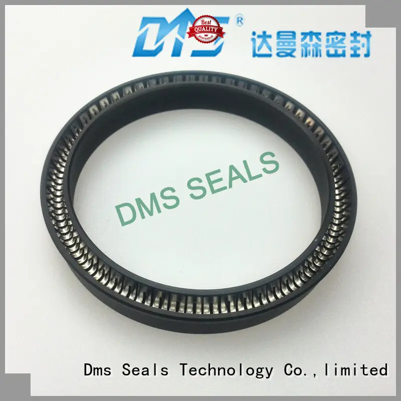 spring energized seals ptfe spring hydraulic DMS Seal Manufacturer Brand company 1