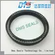 spring energized seals ptfe spring hydraulic DMS Seal Manufacturer Brand company 1