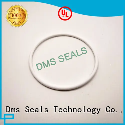 Quality DMS Seal Manufacturer Brand oil seal ring hydraulic 1
