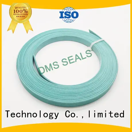 DMS Seal Manufacturer Brand hydraulic ptfe bearing element bearing factory 1