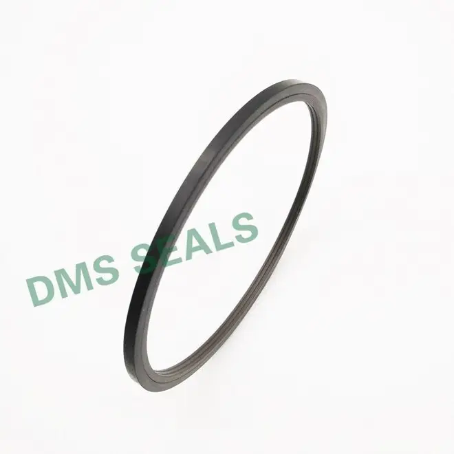 oring rod nbrfkm rod seals DMS Seal Manufacturer 1