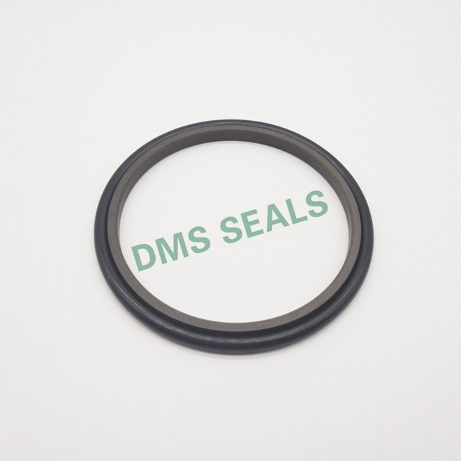 hydraulic rod seals ptfe oring Bulk Buy hydraulic DMS Seal Manufacturer 1