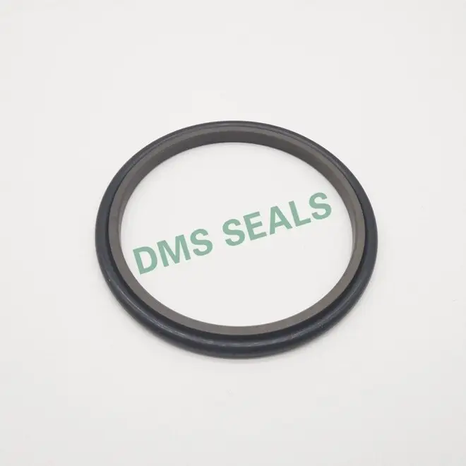 hydraulic rod seals ptfe oring Bulk Buy hydraulic DMS Seal Manufacturer 1