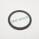 hydraulic rod seals ptfe oring Bulk Buy hydraulic DMS Seal Manufacturer 1