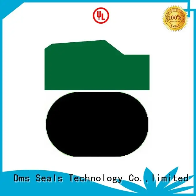oring ptfe piston nbrfkm DMS Seal Manufacturer Brand piston seals supplier 1