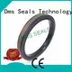 DMS Seal Manufacturer Brand hydraulic ptfe pneumatic piston seals seal 1