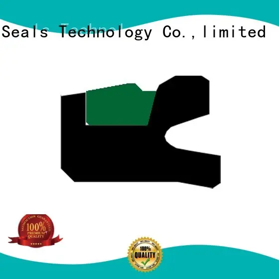 DMS Seal Manufacturer Brand piston oring ptfe piston seals 1