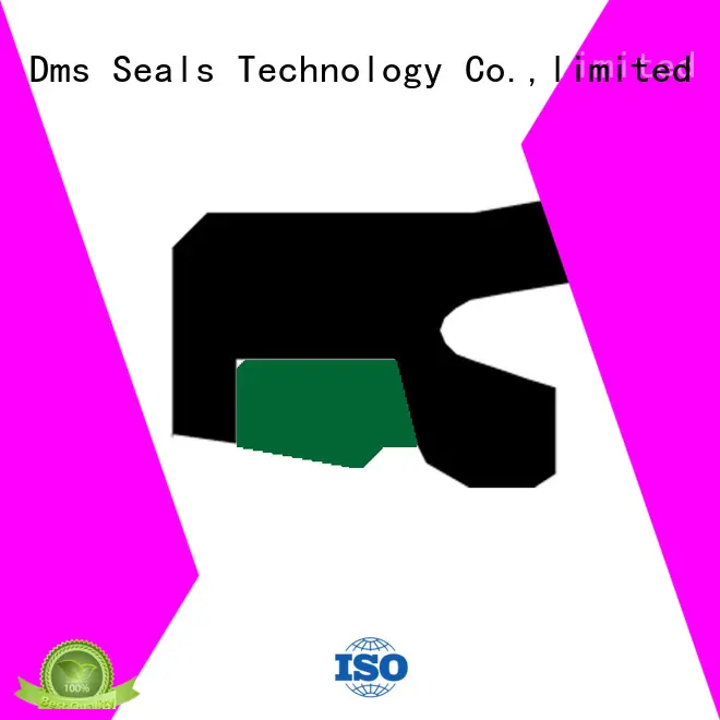 DMS Seal Manufacturer step rod seals rod reciprocating 1