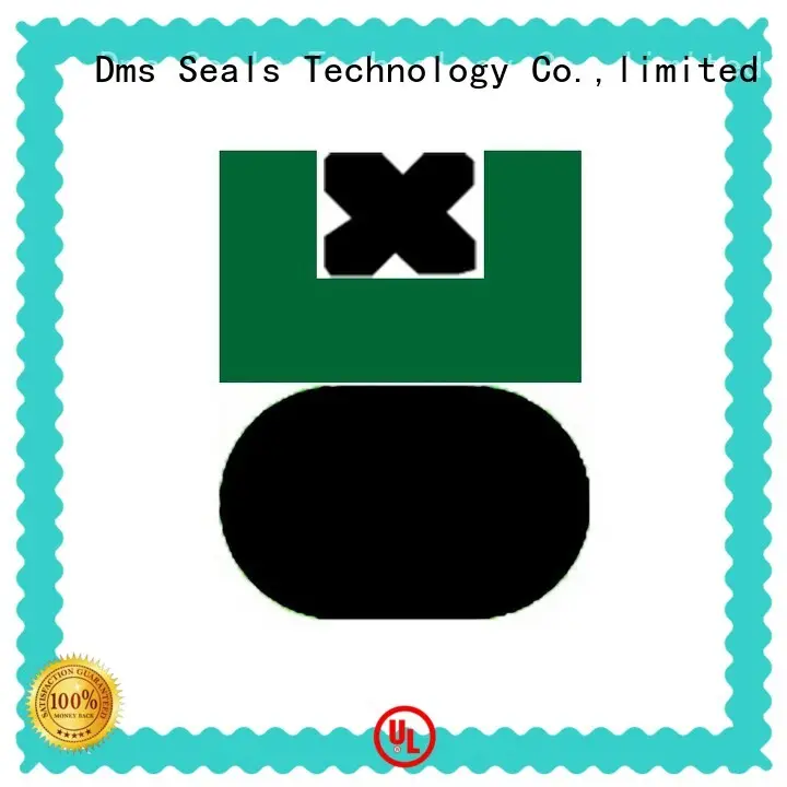 DMS Seal Manufacturer combined pneumatic piston seals nbr manufacturer 1