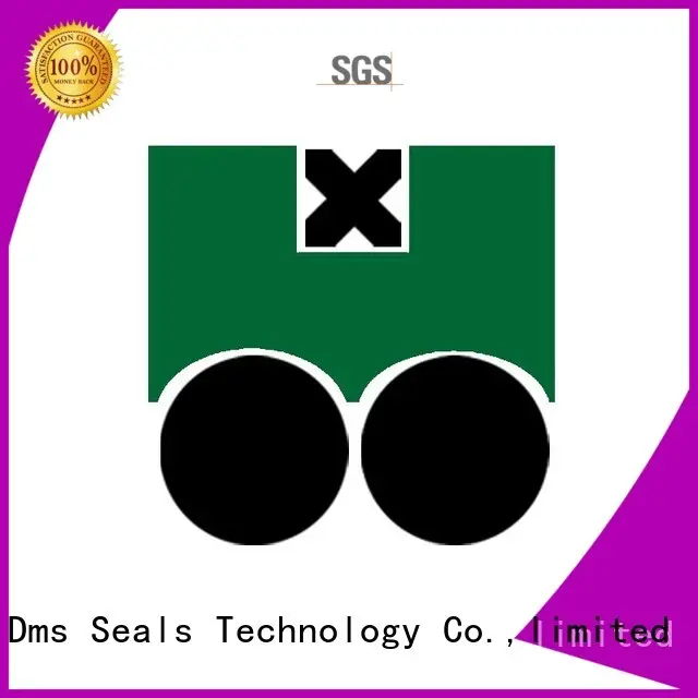 pneumatic piston seals seals manufacturer DMS Seal Manufacturer 1