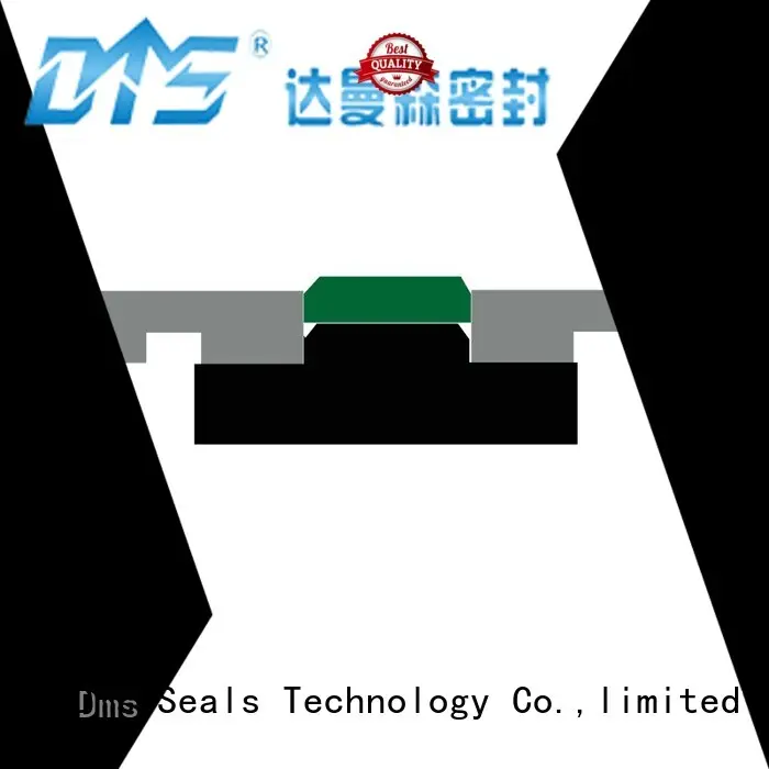 glyd hydraulic piston seals sizes ring manufacturer DMS Seal Manufacturer 1