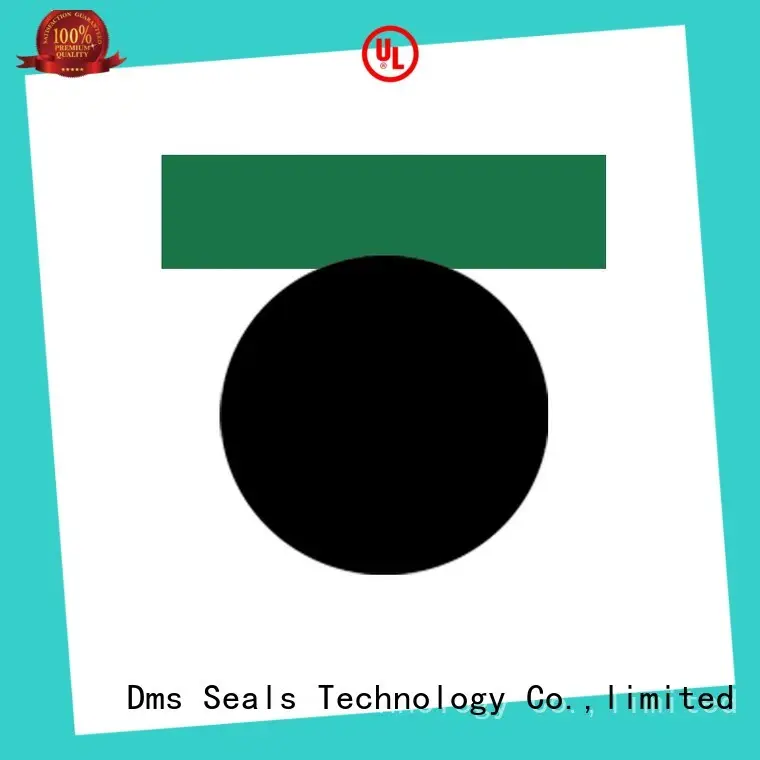 seals piston seals fkm manufacturer 1