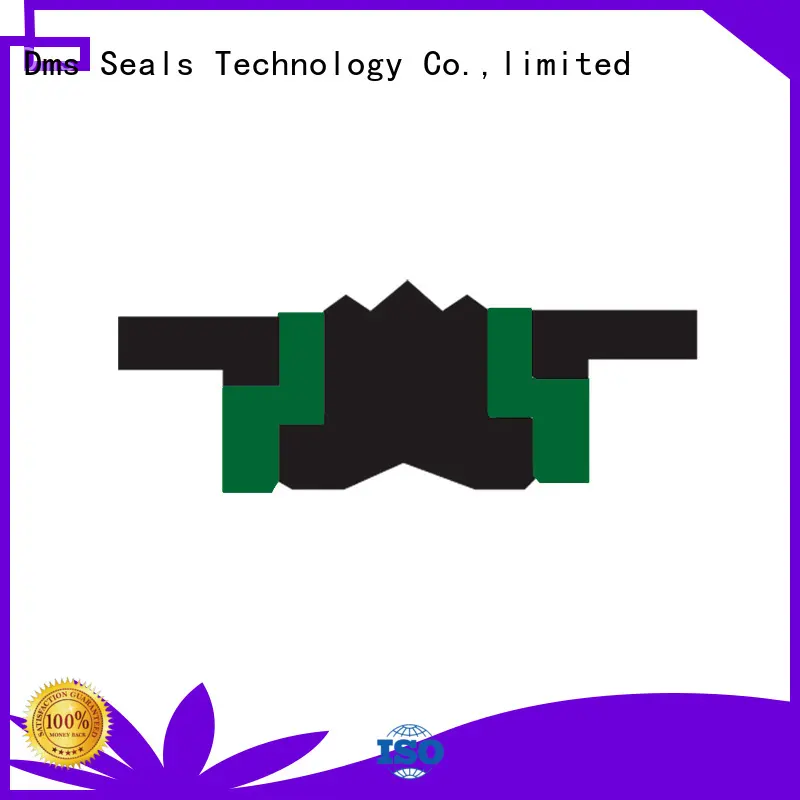 piston piston seals seals manufacturer DMS Seal Manufacturer 1