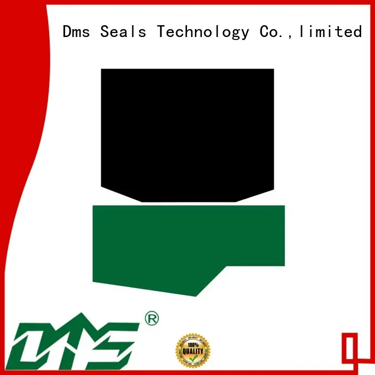 DMS Seal Manufacturer rod O Ring Manufacturers o to 1