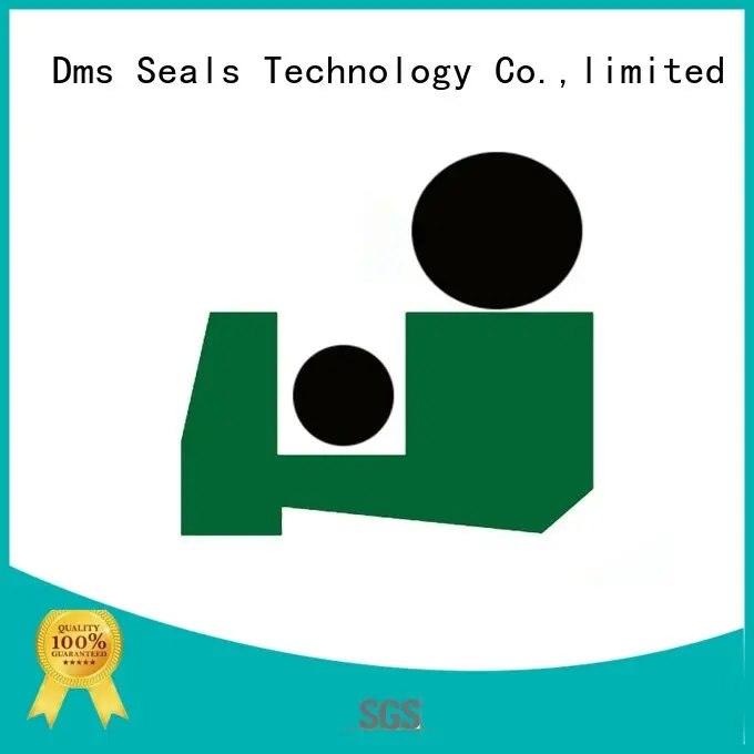 DMS Seal Manufacturer ptfe rod wiper seals scraper machines 1