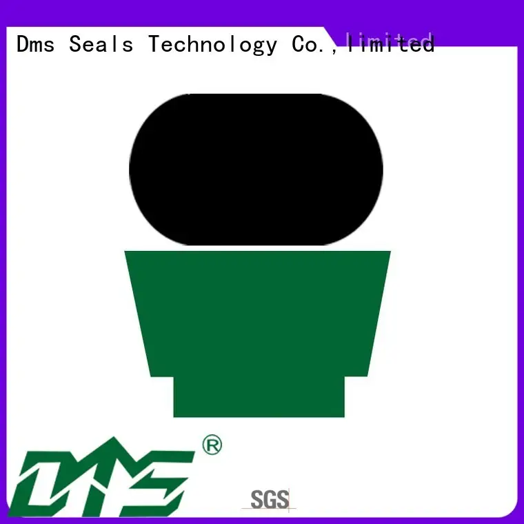 DMS Seal Manufacturer hydraulic hydraulic rod seals nbr and 1