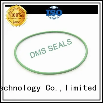 kalrez metric wiper seal with manufacturer DMS Seal Manufacturer 1