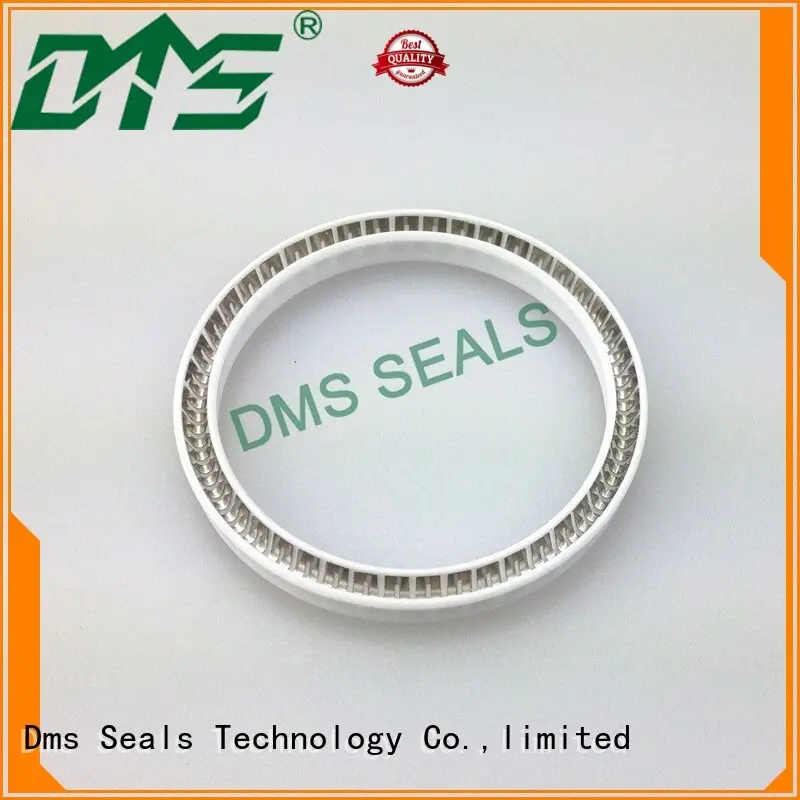 energized oil seal spring spring single acting seal 1