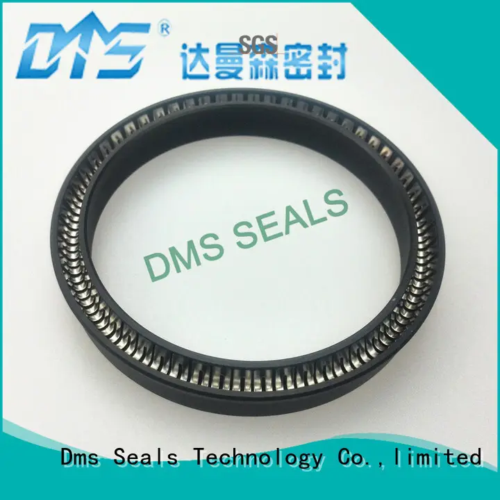 spring spring seals seals single acting seal DMS Seal Manufacturer 1