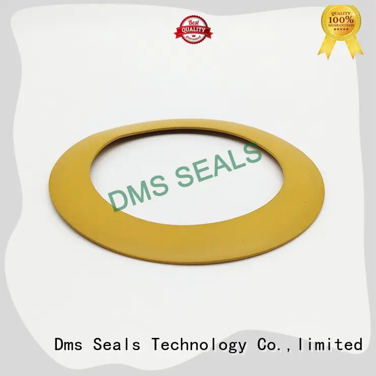 gasket Gasket plastic for liquefied gas DMS Seal Manufacturer 1