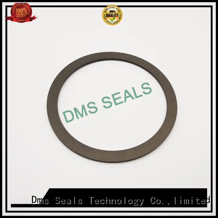 DMS Seal Manufacturer back flat ring gasket gasket for liquefied gas 1