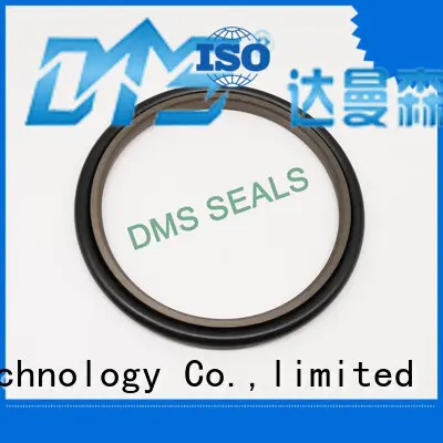 DMS Seal Manufacturer piston hydraulic seals catalogue ring for piston and hydraulic cylinder 1