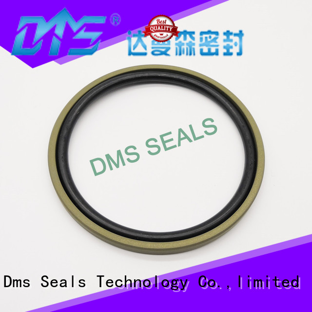piston hydraulic cylinder piston ring for piston and hydraulic cylinder DMS Seal Manufacturer 1