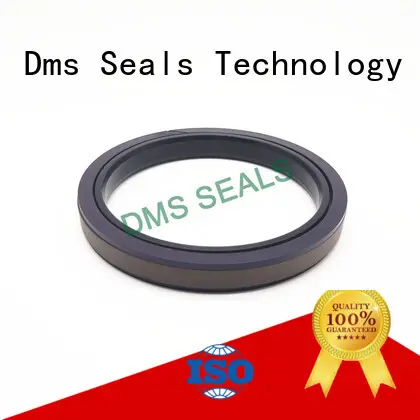 DMS Seal Manufacturer bronze hydraulic oil seal glyd for piston and hydraulic cylinder 1