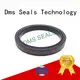 DMS Seal Manufacturer bronze hydraulic oil seal glyd for piston and hydraulic cylinder 1