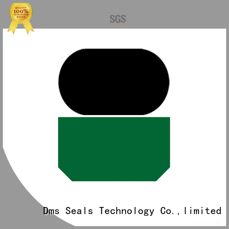 piston rod seal rod to high and low speed reciprocating DMS Seal Manufacturer 1