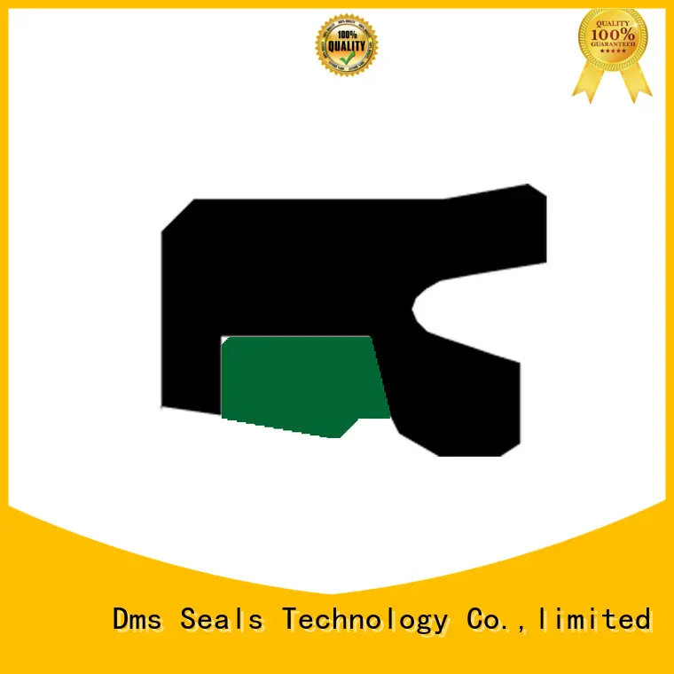 DMS Seal Manufacturer step piston rod seal seal environment 1
