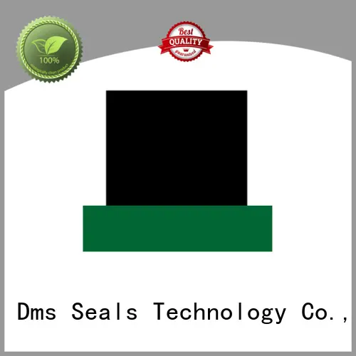 seal rod seal catalogue rod environment DMS Seal Manufacturer 1