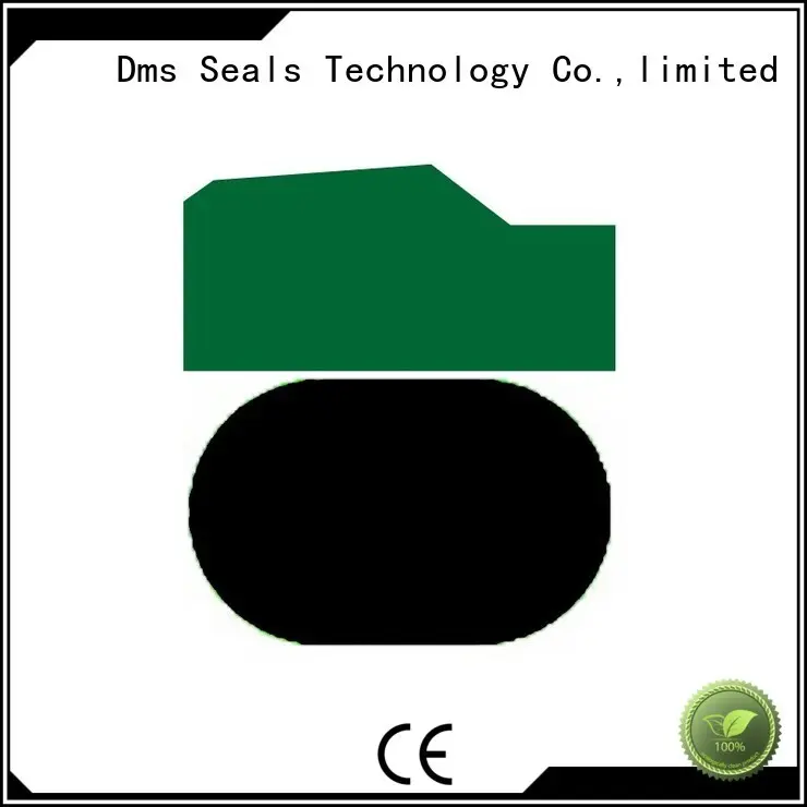 hydraulic piston seals suppliers piston for sale DMS Seal Manufacturer 1