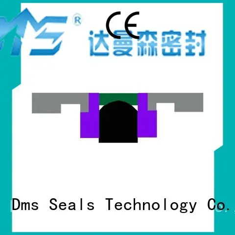 hydraulic cylinder piston seals seals for sale DMS Seal Manufacturer 1