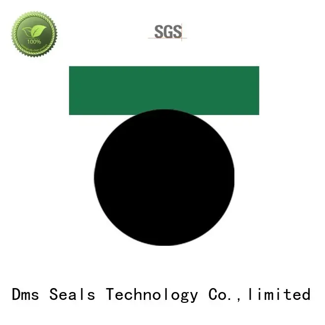 DMS Seal Manufacturer compact hydraulic piston seals daq for pneumatic equipment 1